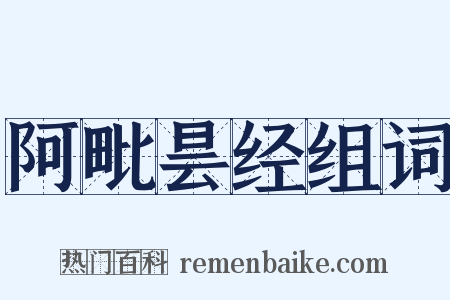 阿毗昙经组词是什么意思的图片